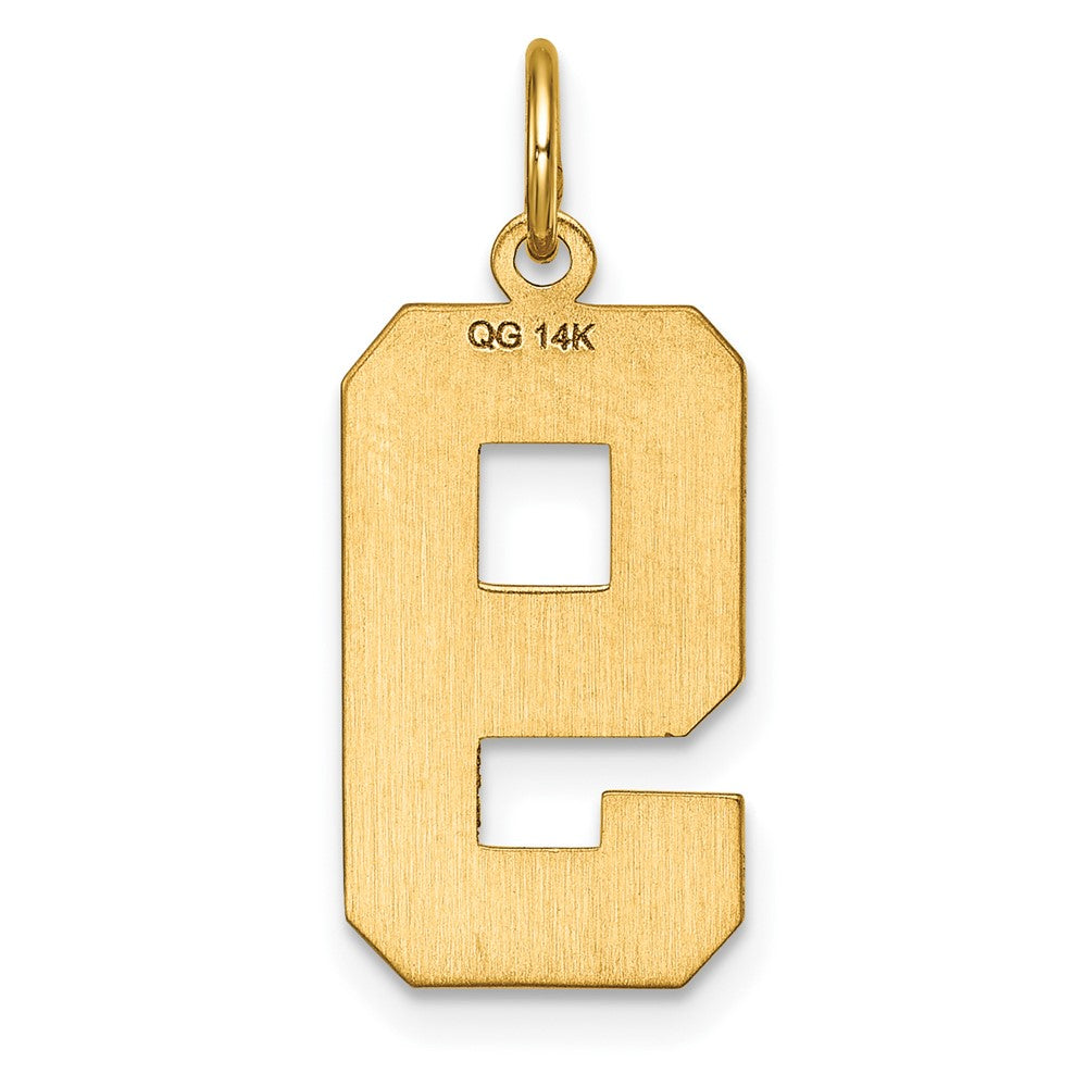 14k Large Brushed Diamond-cut Number 9 Charm