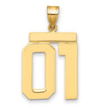 10k Large Polished Number 01 Charm