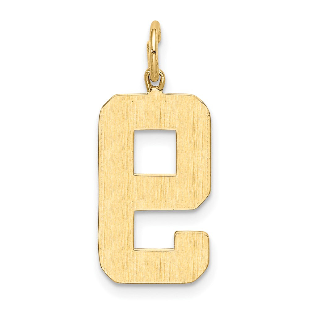 14k Large Polished Number 9 Charm