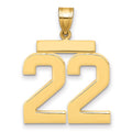 10k Large Polished Number 22 Charm