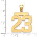 14k Large Polished Number 23 Charm