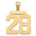 14k Large Polished Number 28 Charm