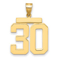 14k Large Polished Number 30 Charm