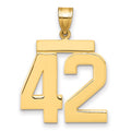 14k Large Polished Number 42 Charm