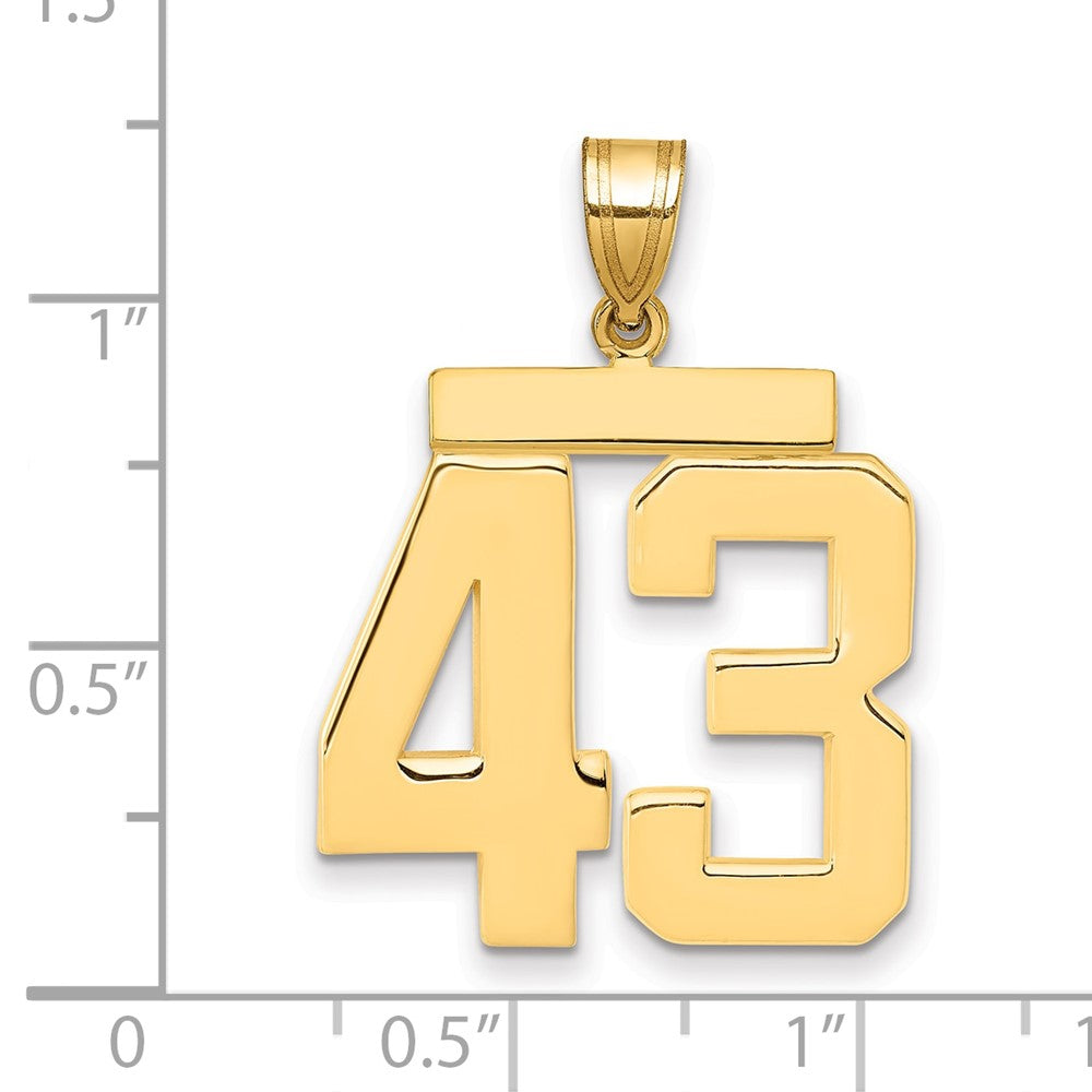 10k Large Polished Number 43 Charm