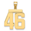 14k Large Polished Number 46 Charm
