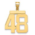 14k Large Polished Number 48 Charm