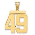 14k Large Polished Number 49 Charm