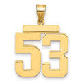 14k Large Polished Number 53 Charm