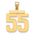 10k Large Polished Number 55 Charm