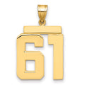 14k Large Polished Number 61 Charm