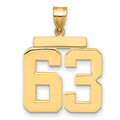 14k Large Polished Number 63 Charm