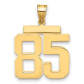 14k Large Polished Number 85 Charm