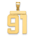 14k Large Polished Number 91 Charm