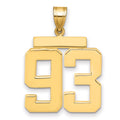 14k Large Polished Number 93 Charm