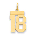 14k Small Polished Number 18 Charm