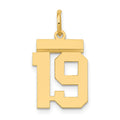 14k Small Polished Number 19 Charm