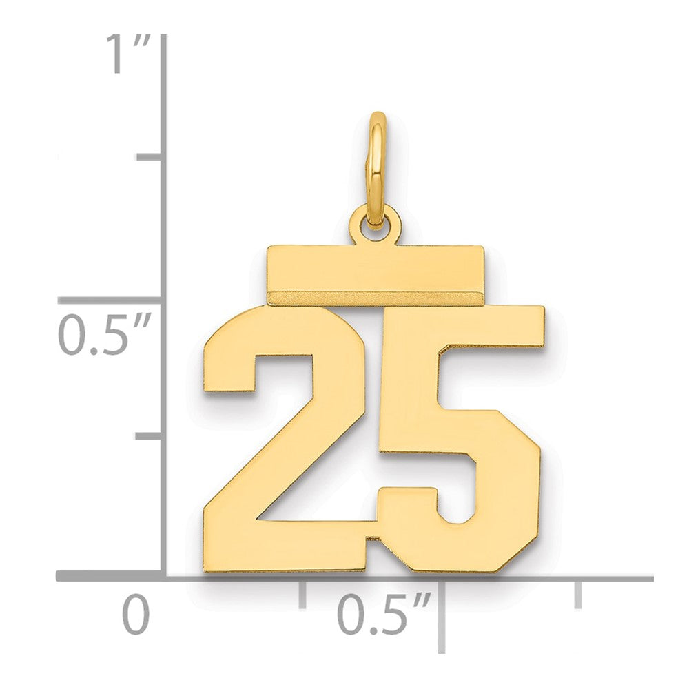 14k Small Polished Number 25 Charm