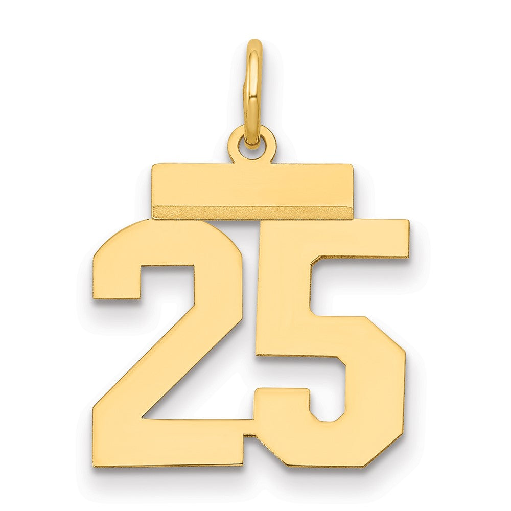 14k Small Polished Number 25 Charm