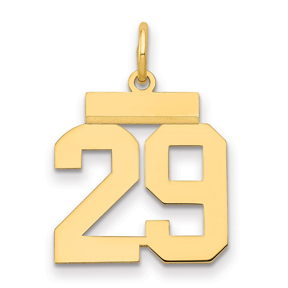 14k Small Polished Number 29 Charm