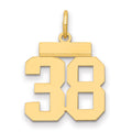 14k Small Polished Number 38 Charm