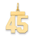 14k Small Polished Number 45 Charm