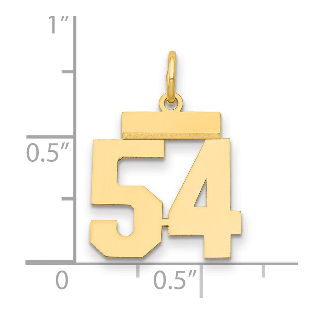14k Small Polished Number 54 Charm