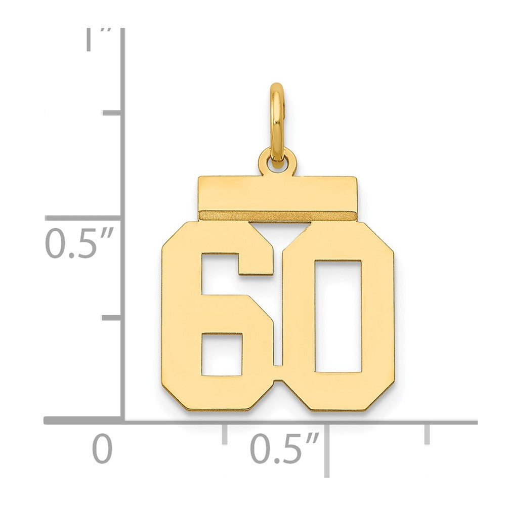 14k Small Polished Number 60 Charm