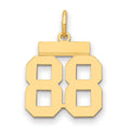 14k Small Polished Number 88 Charm