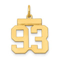 14k Small Polished Number 93 Charm