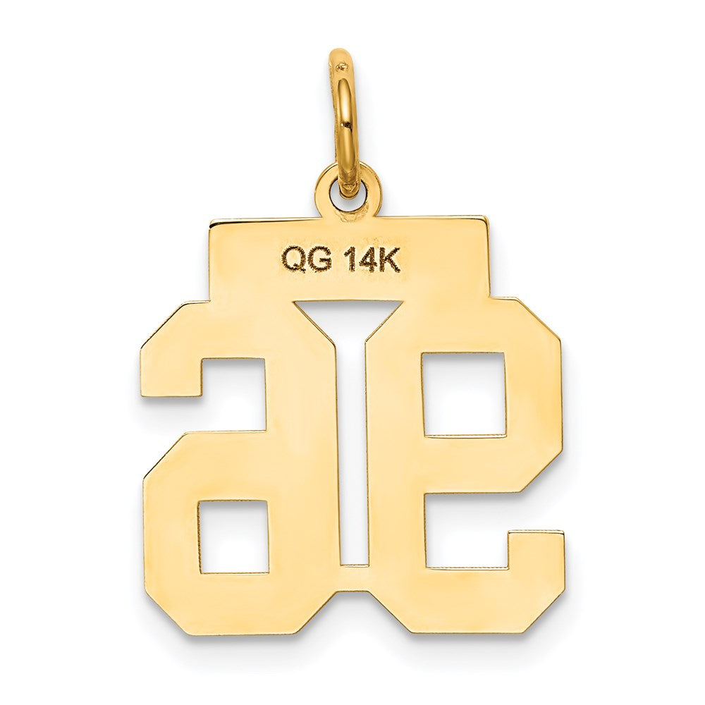 14k Small Polished Number 96 Charm