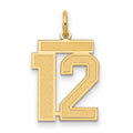 10k Medium Satin Number 12 Charm