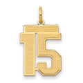 10k Medium Satin Number 15 Charm