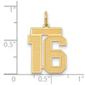 14k Medium Satin Number 16 Charm