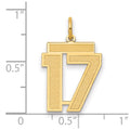 10k Medium Satin Number 17 Charm