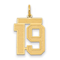 10k Medium Satin Number 19 Charm