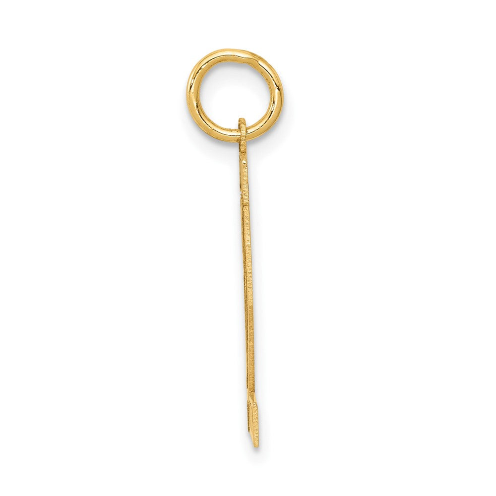 10k Medium Satin Number 22 Charm