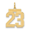 10k Medium Satin Number 23 Charm