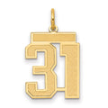 10k Medium Satin Number 31 Charm
