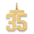 10k Medium Satin Number 35 Charm