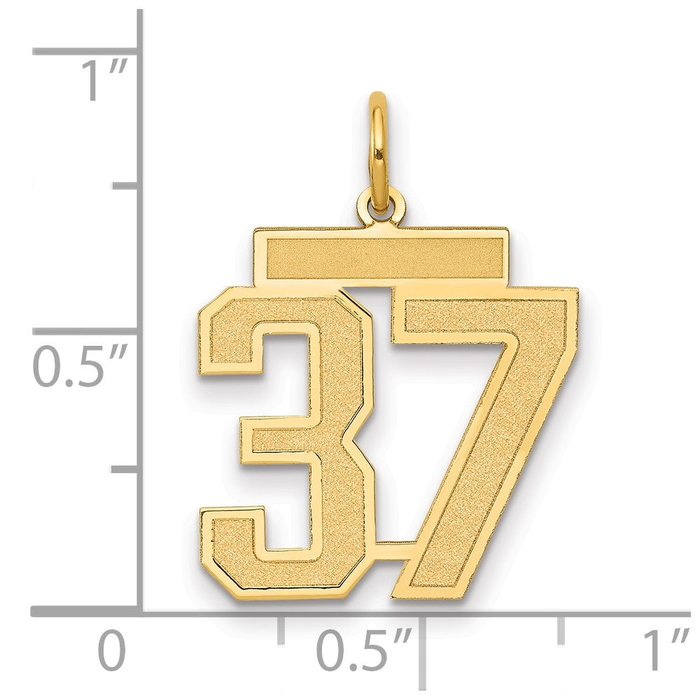 14k Medium Satin Number 37 Charm