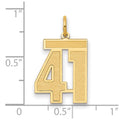 14k Medium Satin Number 41 Charm