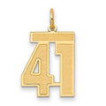 10k Medium Satin Number 41 Charm