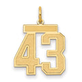 14k Medium Satin Number 43 Charm