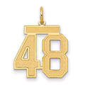 14k Medium Satin Number 48 Charm