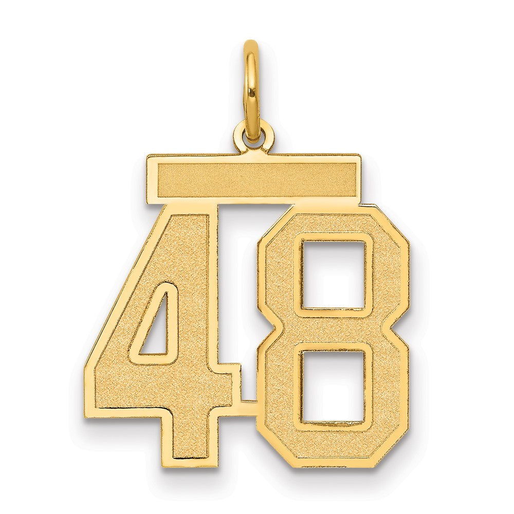 14k Medium Satin Number 48 Charm
