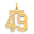 14k Medium Satin Number 49 Charm