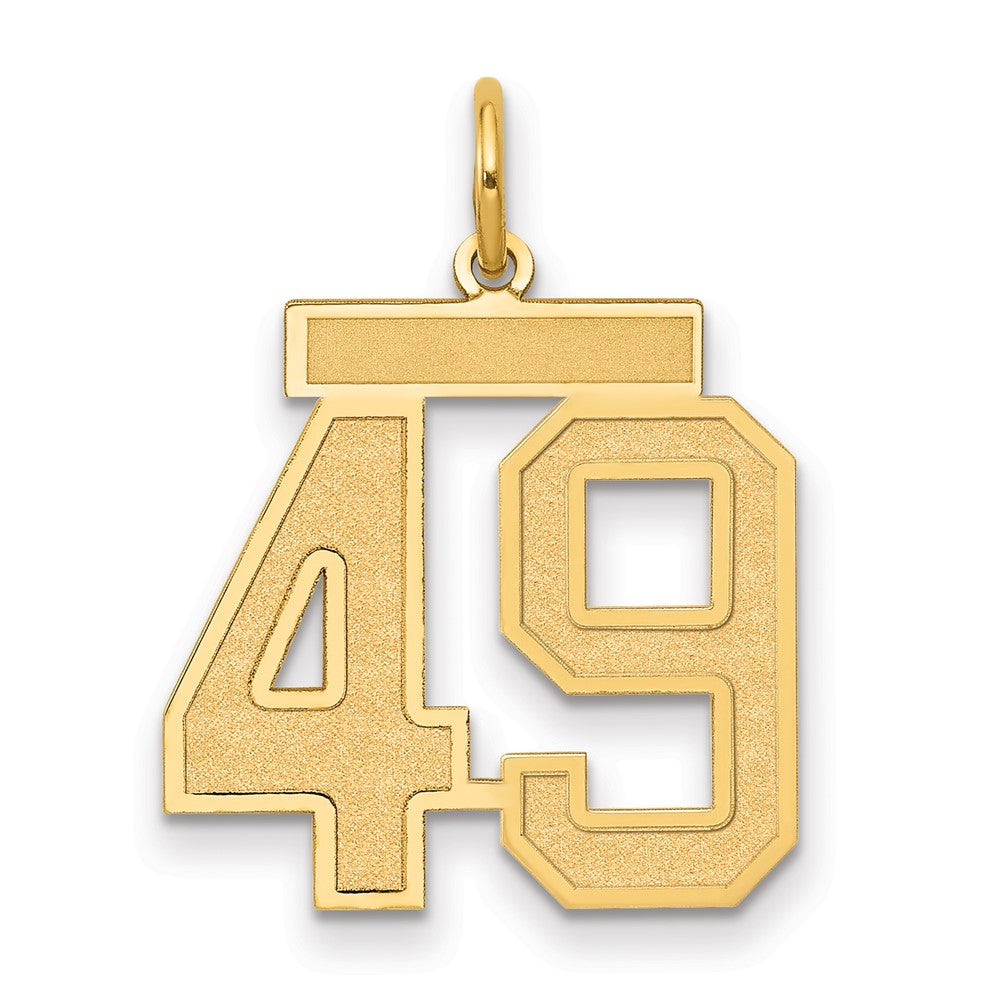 14k Medium Satin Number 49 Charm