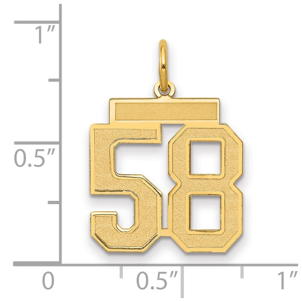 14k Medium Satin Number 58 Charm