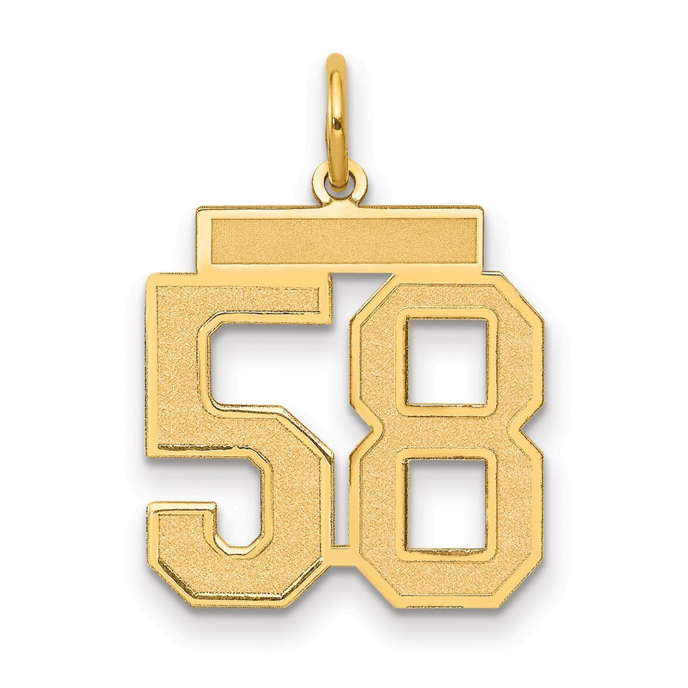 14k Medium Satin Number 58 Charm